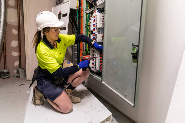 Best Electric Panel Repair  in Scanlon, MN